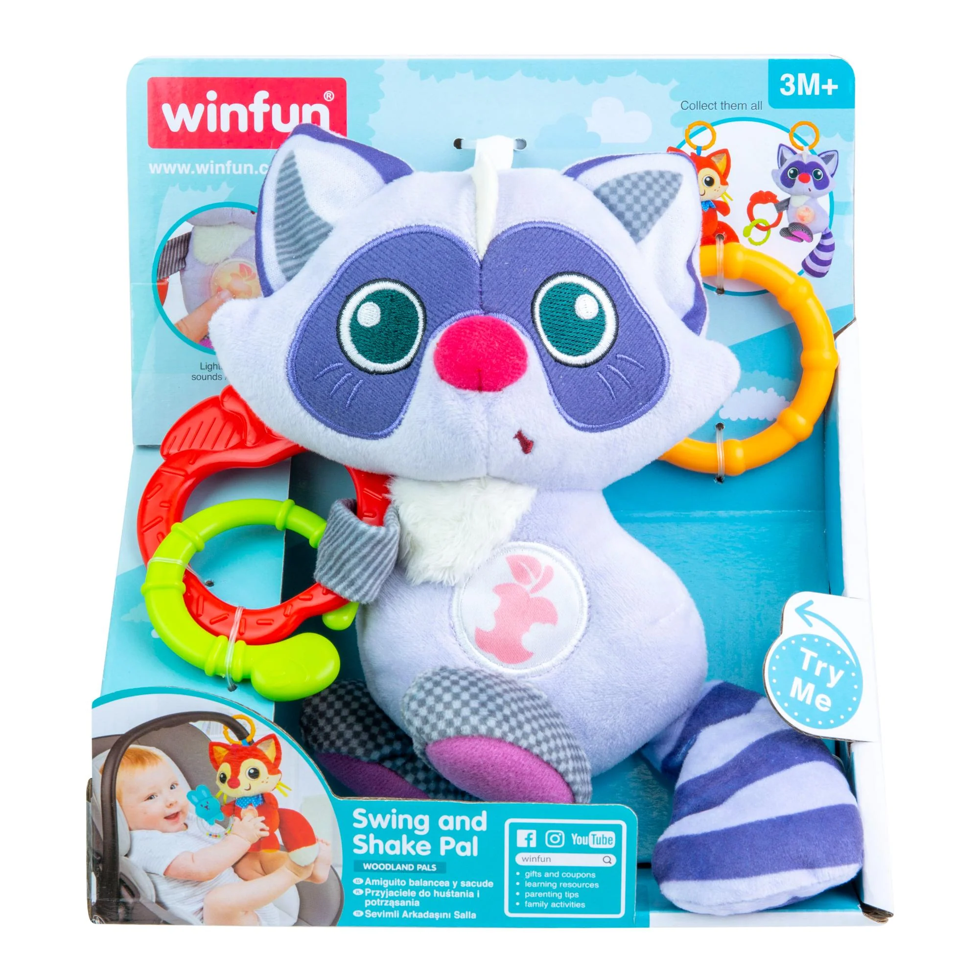 Winfun Swing And Shake Pal - Raccoon