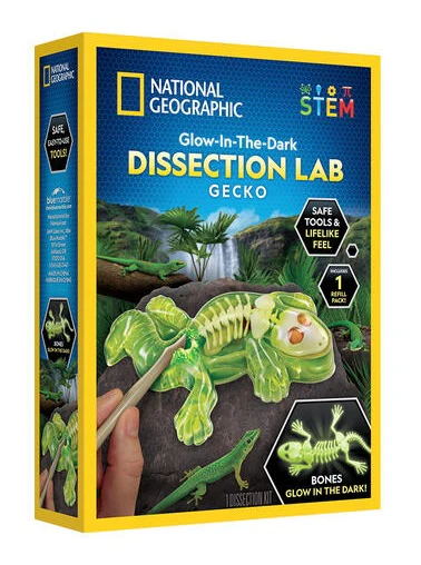 National Geographic Gecko Dissection Lab