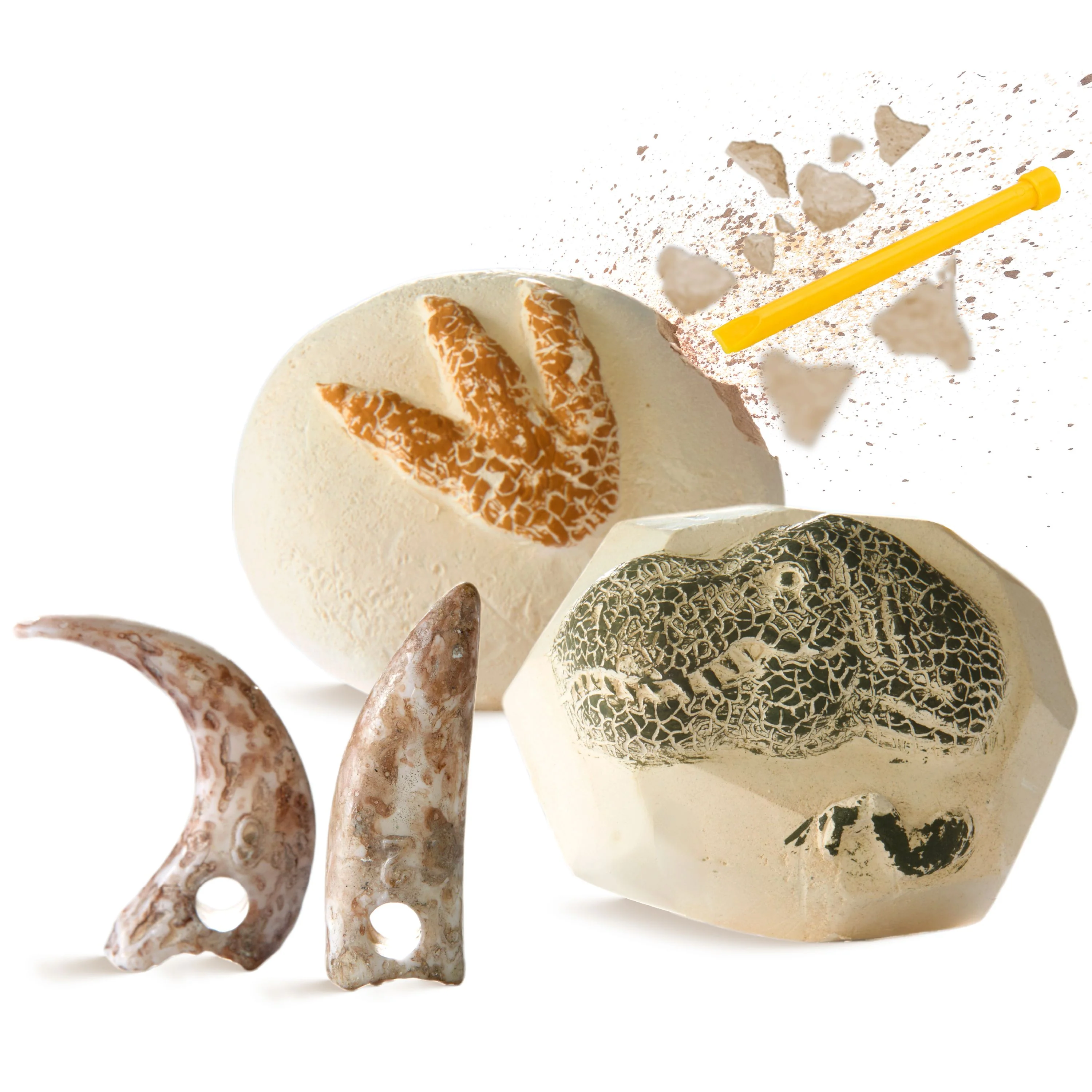1807-discovery-mindblown-dino-fossils-unearthed-excavation-kit-3.webp Discovery Mindblown Dino Fossils Unearthed Excavation Kit