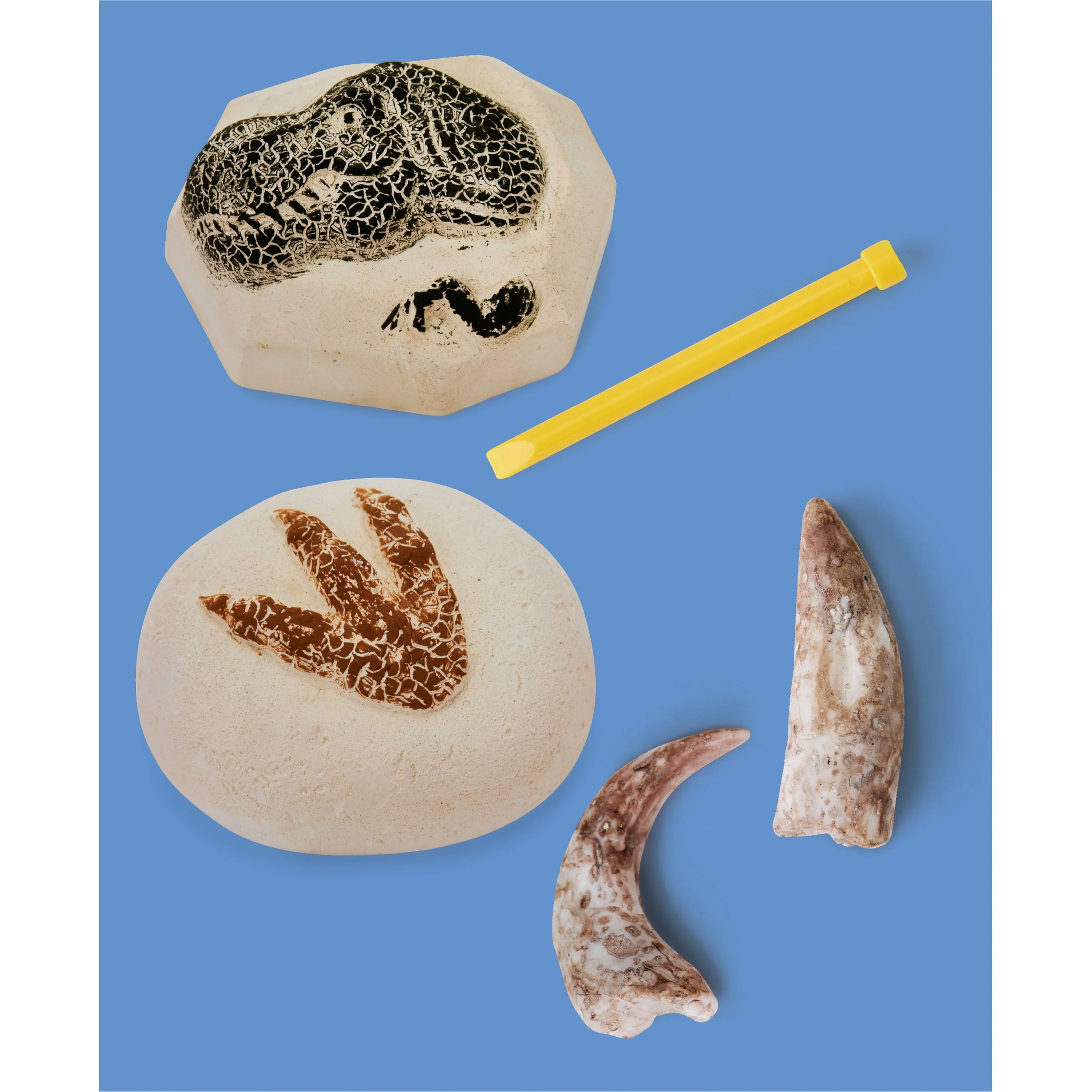 1807-discovery-mindblown-dino-fossils-unearthed-excavation-kit-4.webp Discovery Mindblown Dino Fossils Unearthed Excavation Kit