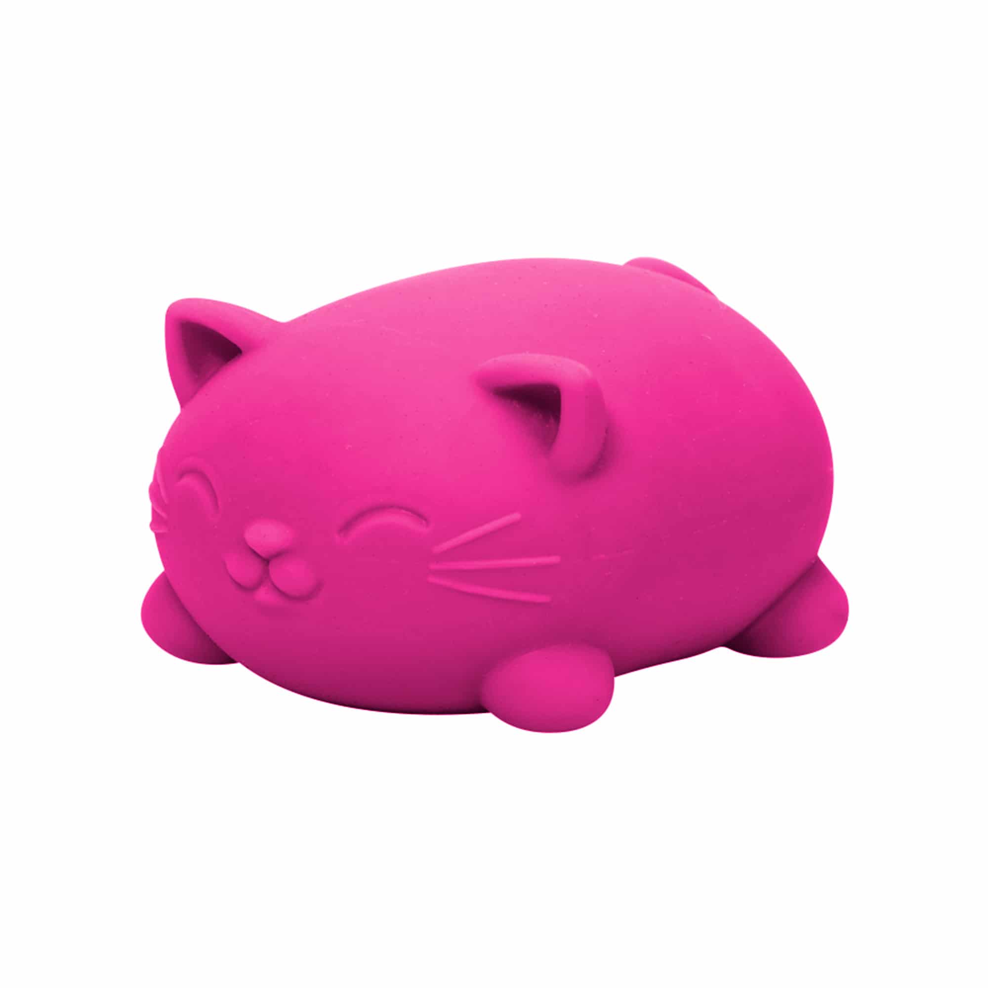 Schylling NeeDoh Cool Cats Assorted Styles