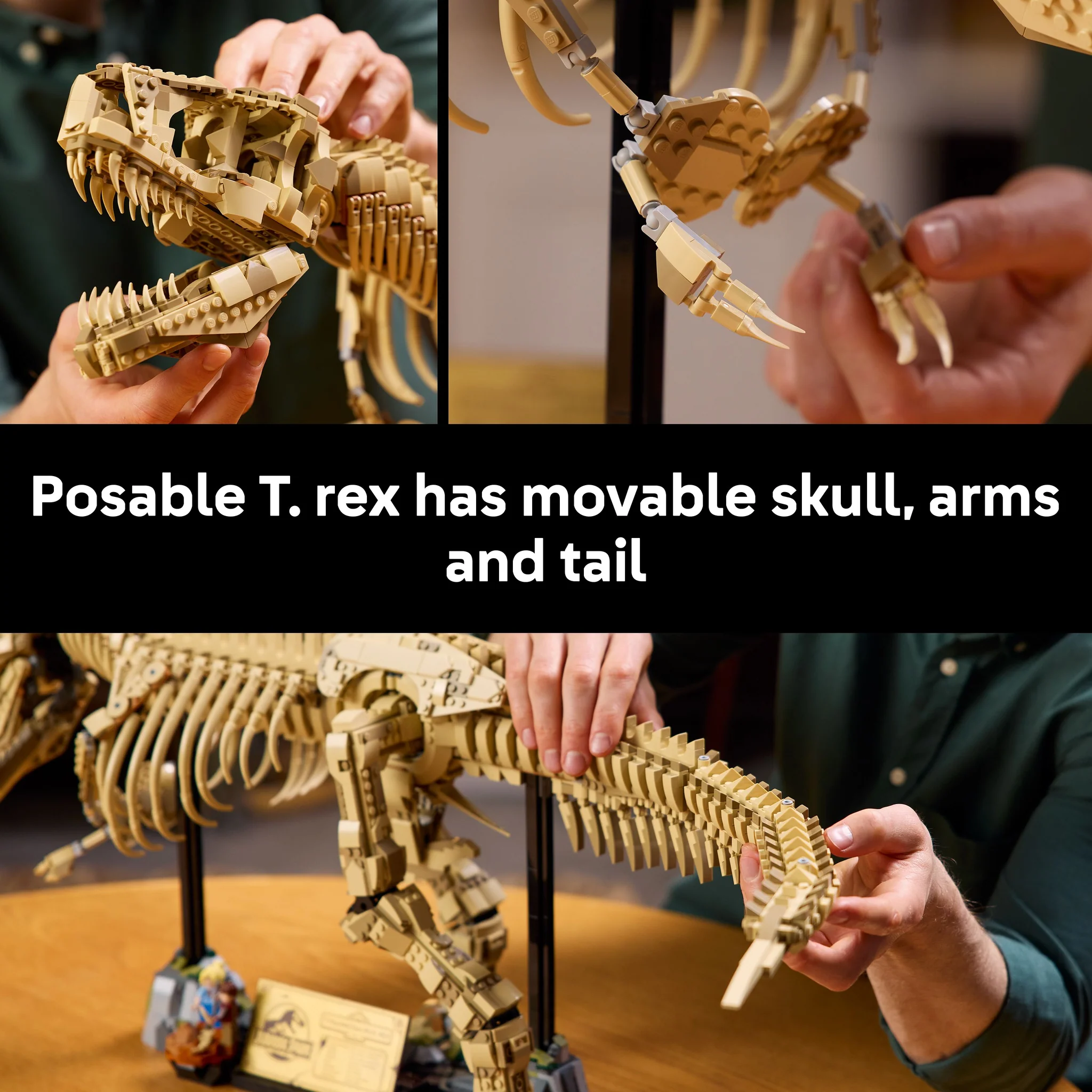 905-lego-76968-jurassic-world-dinosaur-fossils-tyrannosaurus-rex-5.webp LEGO 76968 Jurassic World Dinosaur Fossils: Tyrannosaurus Rex