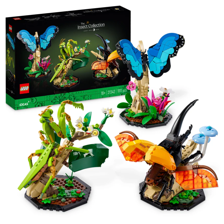 936-lego-21342-ideas-the-insect-collection-1.webp LEGO 21342 Ideas The Insect Collection
