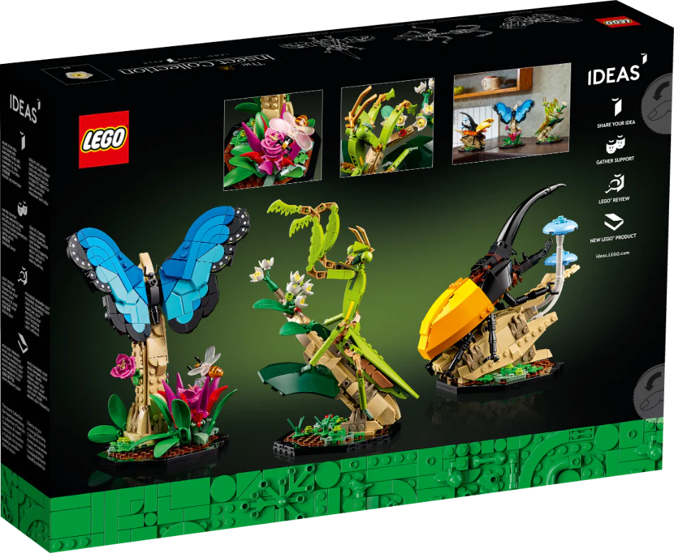 936-lego-21342-ideas-the-insect-collection-10.webp LEGO 21342 Ideas The Insect Collection