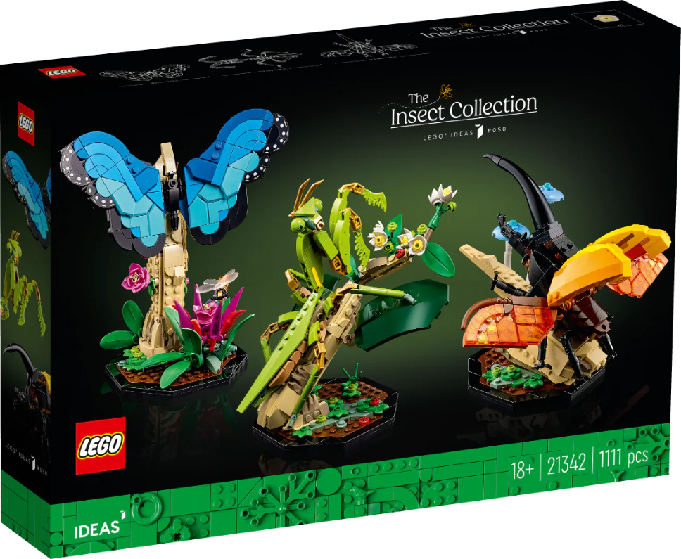 936-lego-21342-ideas-the-insect-collection-2.webp LEGO 21342 Ideas The Insect Collection