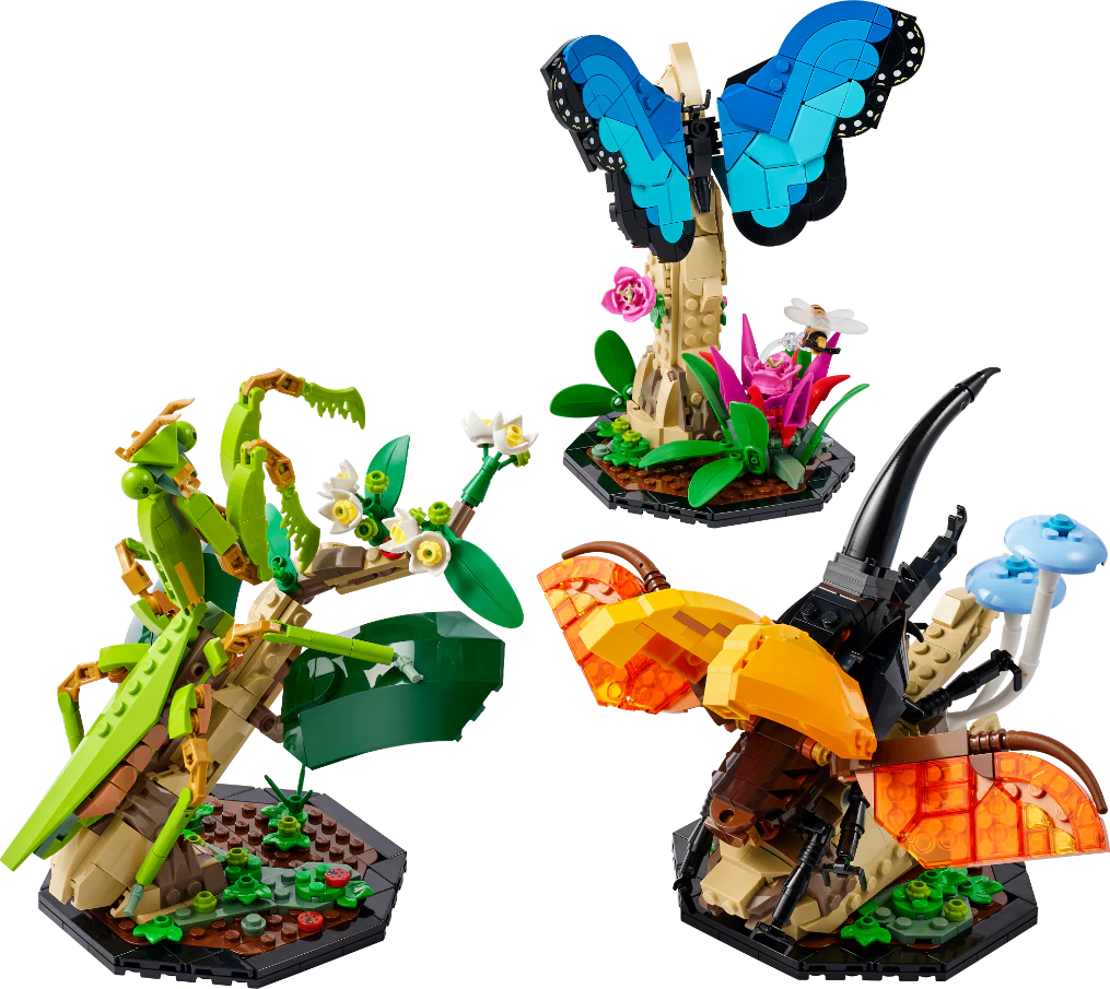 936-lego-21342-ideas-the-insect-collection-3.webp LEGO 21342 Ideas The Insect Collection