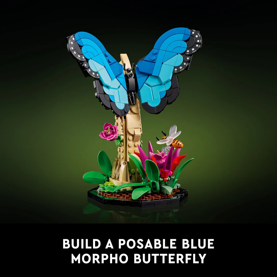 936-lego-21342-ideas-the-insect-collection-5.webp LEGO 21342 Ideas The Insect Collection