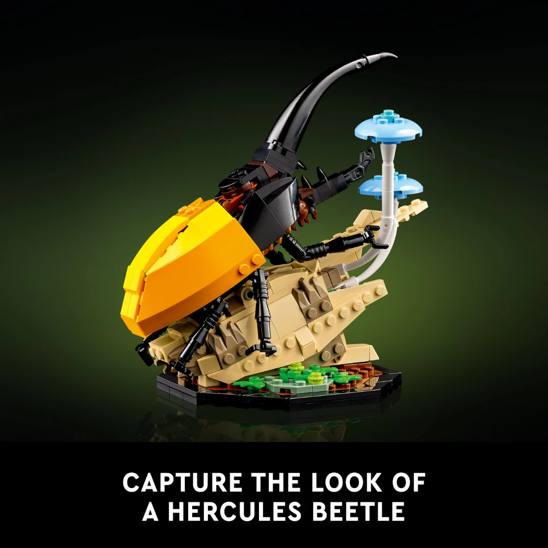 936-lego-21342-ideas-the-insect-collection-6.webp LEGO 21342 Ideas The Insect Collection