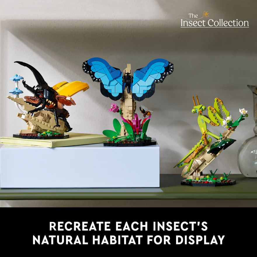 936-lego-21342-ideas-the-insect-collection-8.webp LEGO 21342 Ideas The Insect Collection