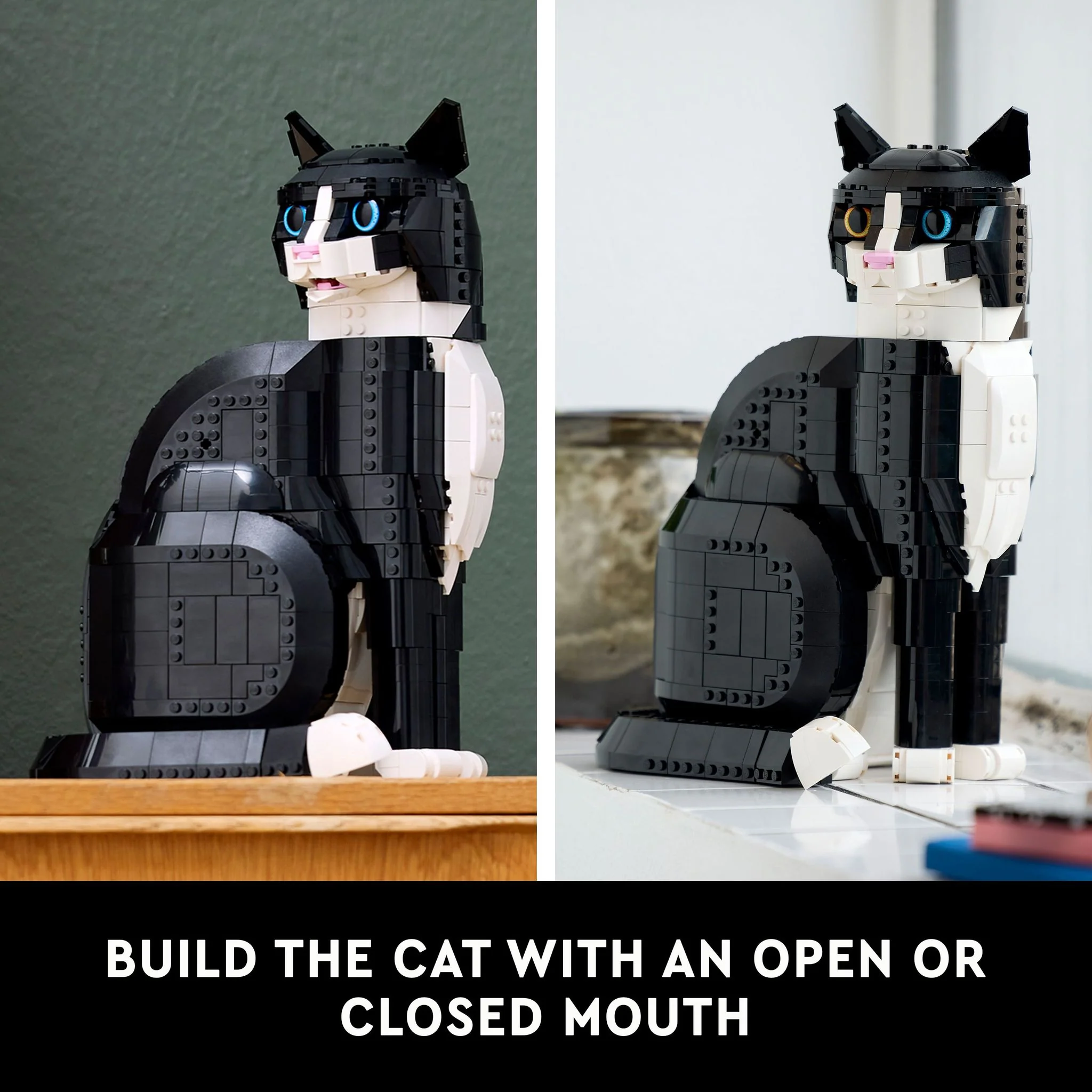 LEGO 21349 Ideas Tuxedo Cat - Toyworld NZ