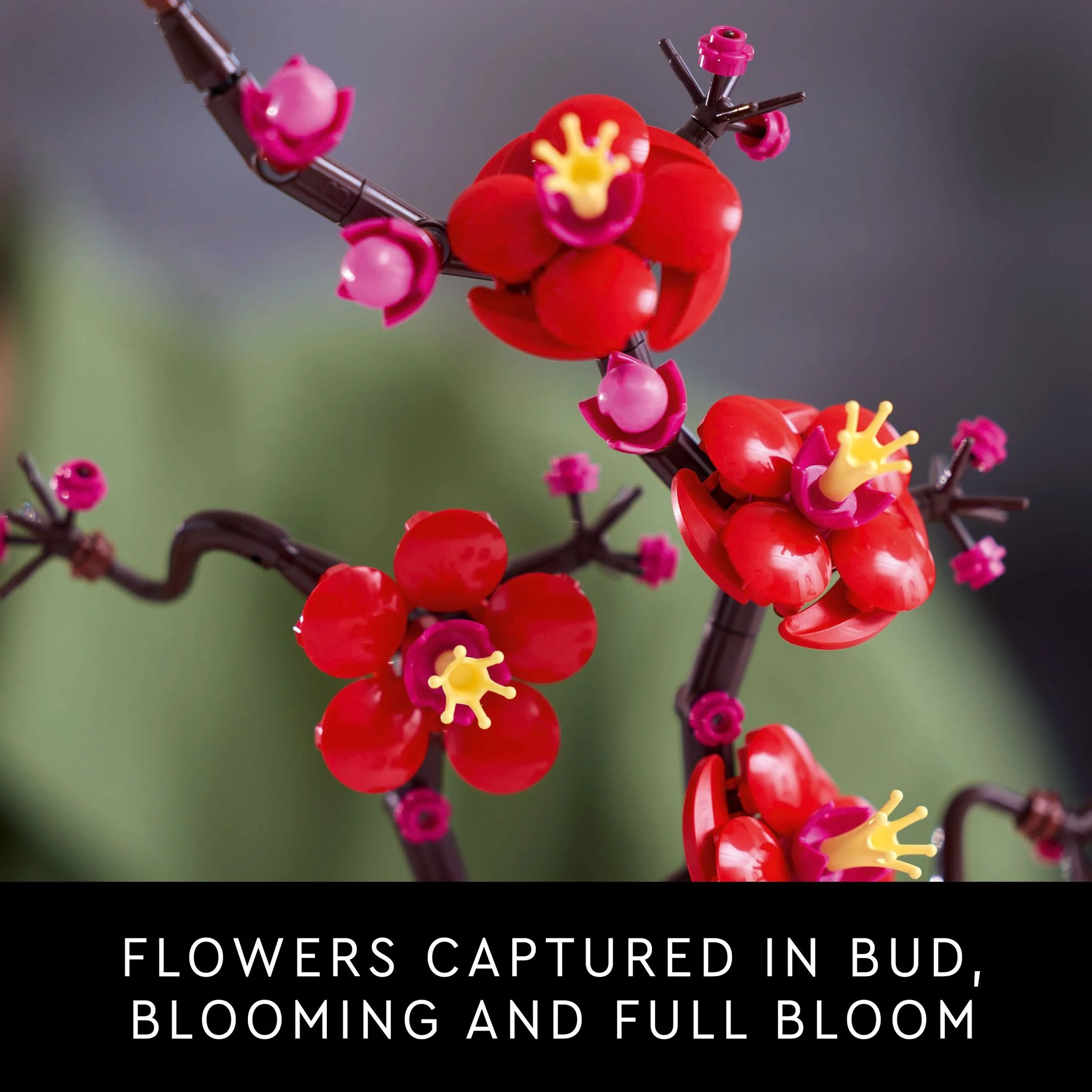 968-lego-10369-botanicals-plum-blossom-6.webp LEGO 10369 Botanicals Plum Blossom